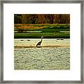 Hung Out With An Egret Last Night Framed Print