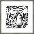 Hungry Eyes Framed Print