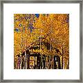 Hushed Home Framed Print