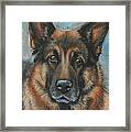 Hussler-german Shepherd Dog Framed Print