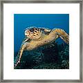 I Am Big Framed Print