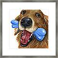 I Live To Fetch...golden Retriver Art Painting Framed Print