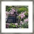 I Never Promised You A Rose Garden Framed Print