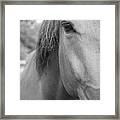 I See You Framed Print