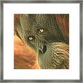 I See You There Framed Print