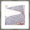 Ice And Snow-5515 Framed Print