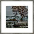 Ice Buildup On Milacs Framed Print