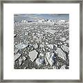 Ice Floes Antarctica Framed Print