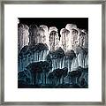 Ice Forest Framed Print