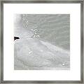 Ice Goose Framed Print