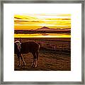 Icelandic Sunrise Framed Print