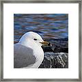 If Only You Could See The World Through My Eyes Framed Print