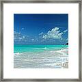 Iguana Island Caribbean Framed Print