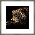 I'm Watching You Framed Print