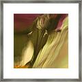 Impression Of A Rose Framed Print