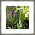 In A Dream Framed Print