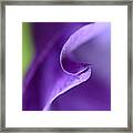 In A Silent Moment Framed Print