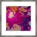 In Hot Pursuit Of Vitamin D Framed Print