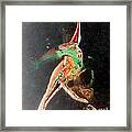 In Jest Framed Print