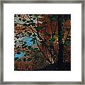 In Mountain Brook Framed Print