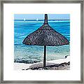 In Perfect Balance. Beach Life Framed Print