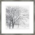 In The Cold Framed Print