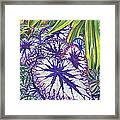 In The Conservatory-7th Center-violet Framed Print