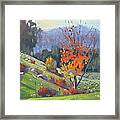 In The Cow Pasture Framed Print