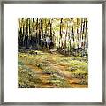 In The Forest Framed Print