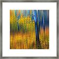 In The Golden Woods. Impressionism Framed Print