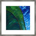 In The Jungle Framed Print