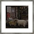 In The Shed Framed Print