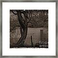 In The Times Of The Hanging Trees Framed Print