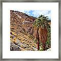Indian Canyons View With Two Palms Framed Print