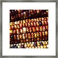 Indian Corn Harvest Time Framed Print