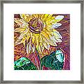 Indian Summer Framed Print