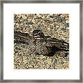 Industrial Nighthawk Framed Print