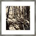 Infrared Photo Collier-seminole Florida State Park Framed Print