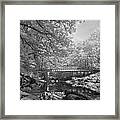 Infrared River Framed Print