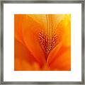 Inner Iris 3 Of 4 Framed Print