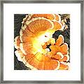 Inner Light Framed Print