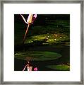 Inner Peace Framed Print