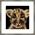 Cute Animal Panther Cub On A Black Background Framed Print