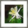 Innocence Framed Print