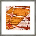 Intersecting Web And Texture Framed Print