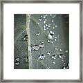 Into Every Life A Little Rain Must Fall Framed Print