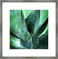 Into The Green Framed Print