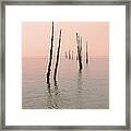 Into The Pink Sunset... Framed Print