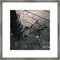 Intrigue Framed Print