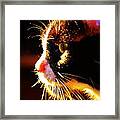 Irie Cat Framed Print